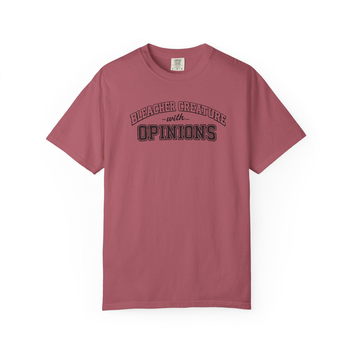 Bleacher Creature Comfort Colors  T-shirt